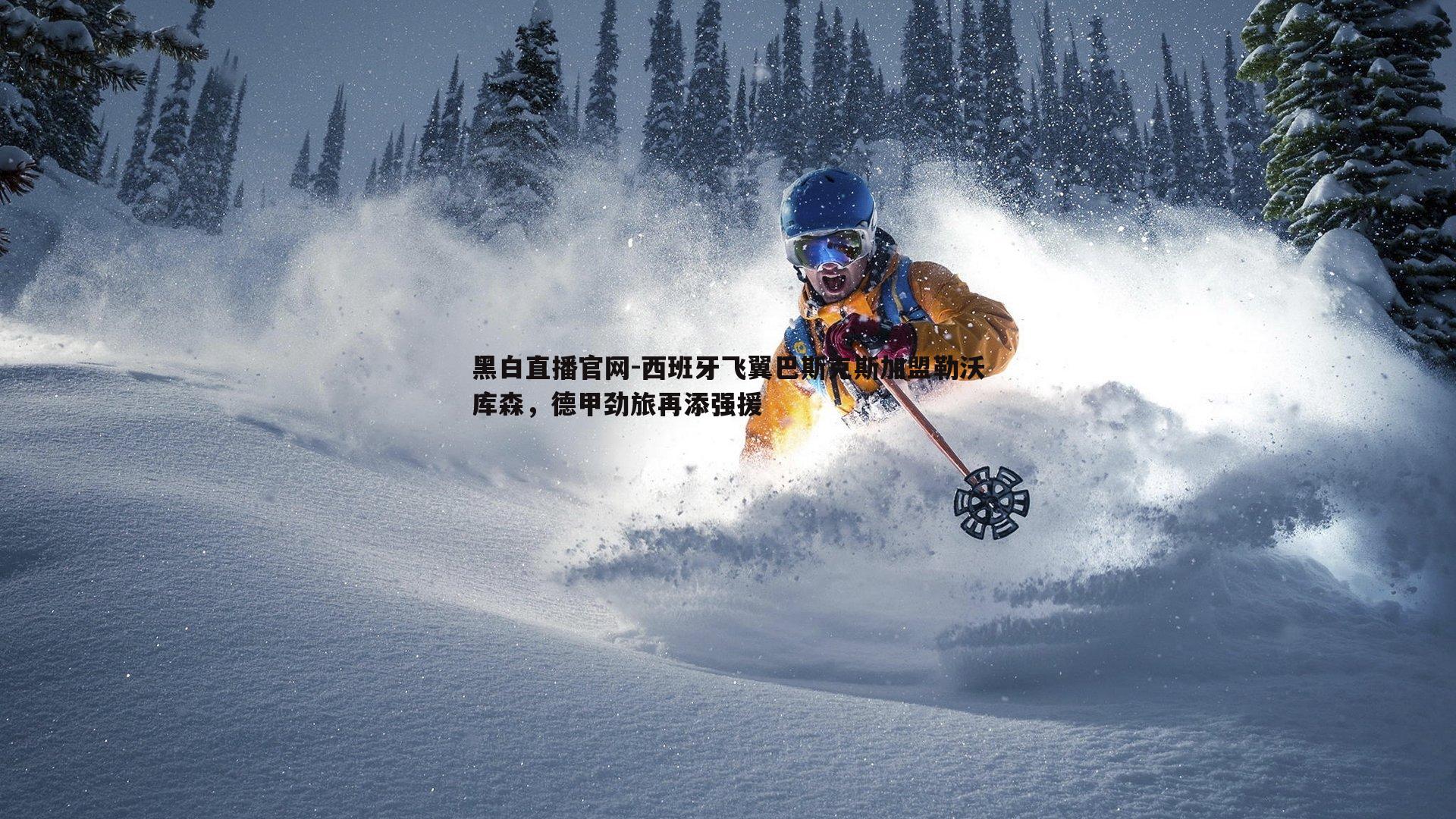 西班牙飞翼巴斯克斯加盟勒沃库森，德甲劲旅再添强援