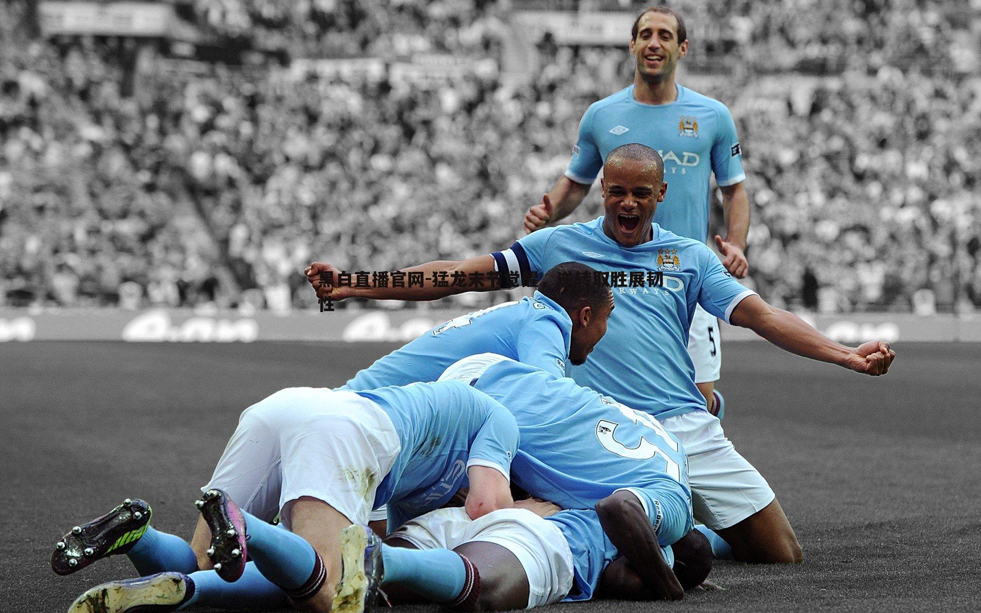 黑白直播官网-猛龙末节觉醒，逆转取胜展韧性